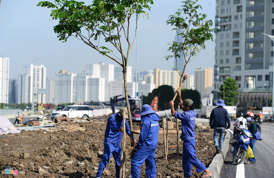 Thông xe cây cầu 500 tỷ qua đảo Kim Cương ở Sài Gòn